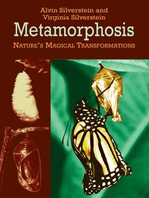 cover image of Metamorphosis